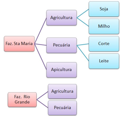 Estrutura de centros de custos em propriedade agropecuária em 3 níveis