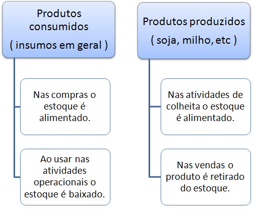 Fluxo de controle de produtos e insumos na propriedade rural